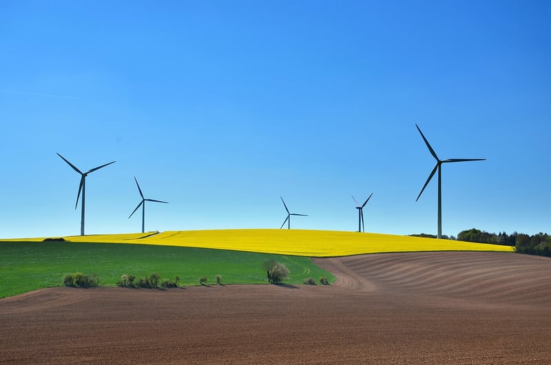 Sustainable Development